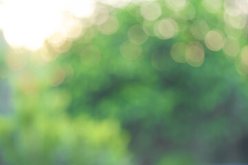 Obraz premium Bokeh of nature view of green leaf on blurred greenery background in garden with copy space using as background natural green plants landscape, ecology, fresh wallpaper