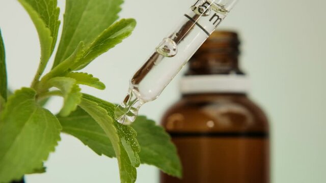 Stevia liquid.Stevia rebaudiana branch glass pipette and bottle with stevia extract on blurred light background.Natural vegetable sweetener. Healthy food and food for weight loss. High quality 4k