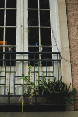 windows in the building