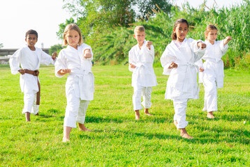 Naklejka na ściany i meble Multinational group of schoolchildren, boys and girls, practicing karate at the park outdoors