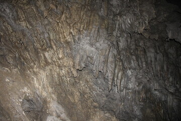 鍾乳洞内部の、薄暗い内壁