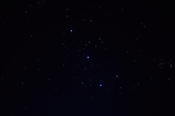 Fototapeta premium star