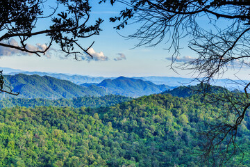Mountain and forest landscape with sky