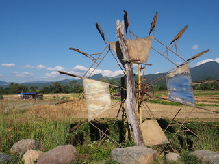 farm