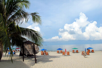 beach with palm trees