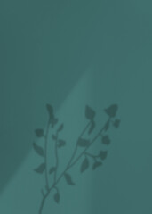 나뭇가지 그림자 오버레이 효과 가을배경