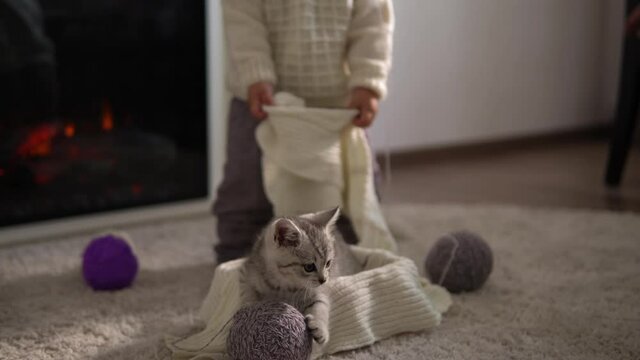 baby playing with cat. tomcat on carpet near burning fireplace at home comfort. striped kitten play with ball of thread. kitty run looking at camera. happy adorable pet, childhood, wild nature concept