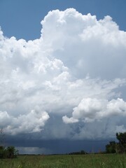 Obraz na płótnie Canvas Towering cumulus clouds over Kansas field.