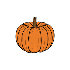 Pumpkin handdrawn illustration design template isolated