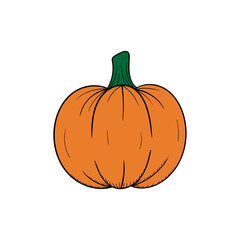 Pumpkin handdrawn illustration design template isolated