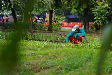 Denpasar, Bali, Indonesia (August 10, 2021): Gardeners are cleaning the garden during the day. Good concept for the impact of the pandemic on the people's economy.