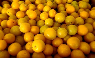 Yellow plums