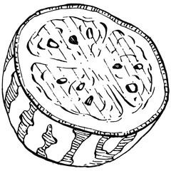 Watermelon sketch vector drawing. Isolated hand drawn berry on white background. Summer berry engraved style illustration. Decoration for food packaging.