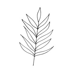 abstract leaves icon. hand drawn doodle. vector, scandinavian, nordic, minimalism, monochrome. plant, herbarium.