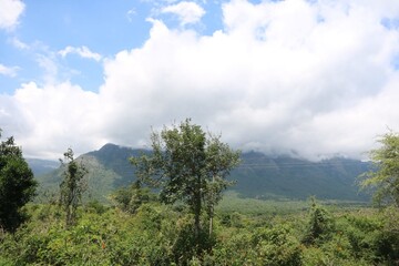 blue sky white clouds green trees plants hills