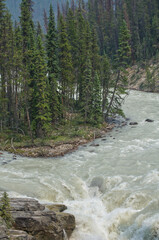 The rushing waters of Sunwapta Falls