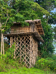 Wooden house in the forest, West Papua, Indonesia