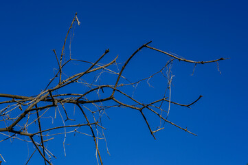 barbed wire against blue sky