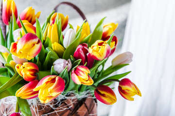 bright tulips in a basket on a light background in a white room. orange flowers. 