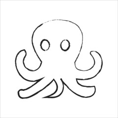 octopus