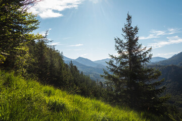 Austria Alps valley with mountain and tree from lookout on hill Schoberstein, summer day