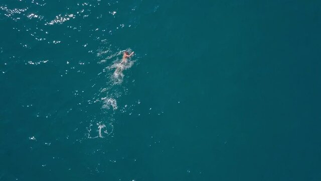 view from the drone: a man is swimming crawl in the sea. A swimmer in the water. Top view of the ocean.