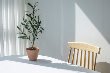 Olive branches on white table with wooden chair.