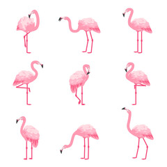 Fototapeta premium Pink flamingo. Cartoon cute zoo animal. Tropical fauna characters collection. Exotic bird in various poses. Summer beach decorative elements set. Vector winged creatures with long necks