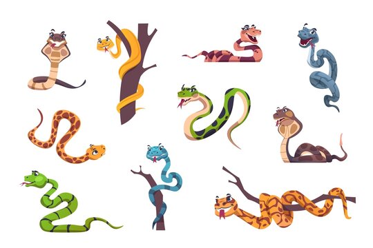 Snakes character. Cute animal mascot with funny face emotions for kids illustration. Wild reptile of tropical nature. Striped or spotted creeping predators. Vector exotic serpents set