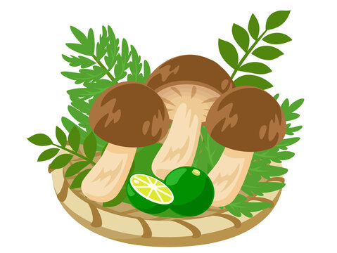 573 件の最適な 松茸のイラスト 画像 ストック写真 ベクター Adobe Stock