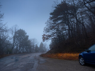 blue car headlight beams in dense mist. Driving in the Fog on the mountain road in the forest.