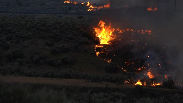 Grasslands and bushes burning, during gloomy dusk time - static, slow motion view