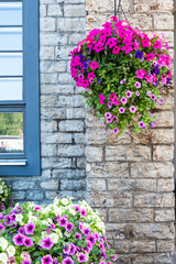 Facade of a building with windows and flowers.