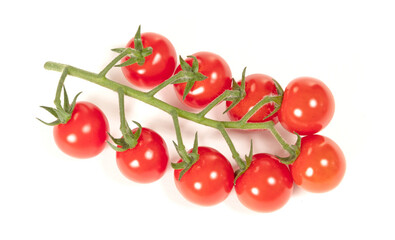 Twig of fresh cherry tomato on white
