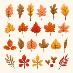 Obraz na płótnie Canvas Set of autumn colorful leaves. Foliage of oak, maple, mountain ash, beech, elm, birch, chestnut, aspen or linden, willow, red cranberry or lingonberry. Flat vector illustration. 