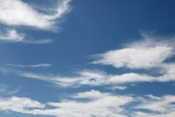 Fototapeta premium 空と雲の背景