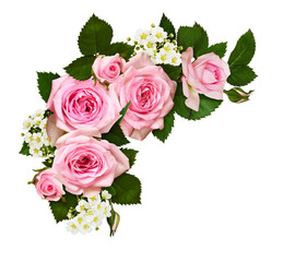 Obraz na płótnie Canvas Pink rose flowers and buds in a corner arrangement isolated on white background