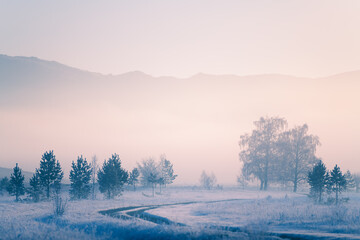 Winter mountains in the morning fog at sunrise. Frosted trees and grass among the country road. Beautiful winter landscape.