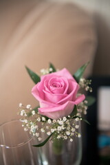 wedding rings on a rose