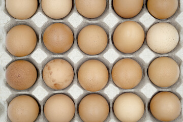 Chicken eggs in carton box on white background.