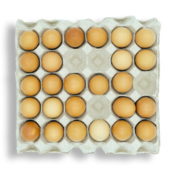 Chicken eggs in carton box on white background.