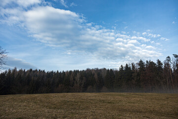 Fototapeta premium Close up of fogy forest over sunny and cloudy morning sky in Graz, Austria.