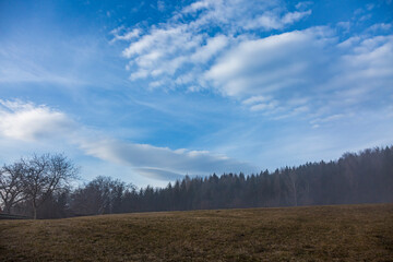 Fototapeta premium Close up of fogy forest over sunny and cloudy morning sky in Graz, Austria.
