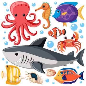 Cartoon Sea Life Seamless Pattern with Sea Animals character