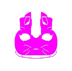 Pinky cute cat