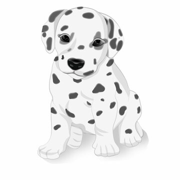 Dalmatian puppy in cartoon styl