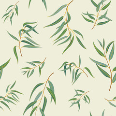 Naklejka premium Branch of eucalyptus tree. Trendy pattern with twig. Vector contour illustration.