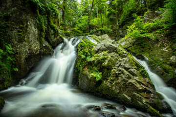 Obraz premium Waterfall in Spring 
