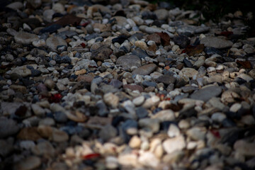Various size and color rock on floor