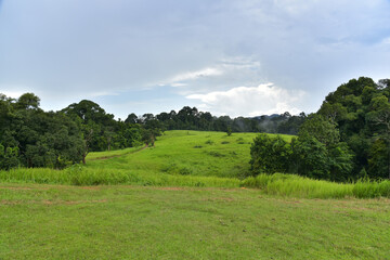 After rain forest national park is very cool fresh air and good healthy travel.